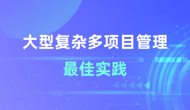 大型復雜多項目管理最佳實踐