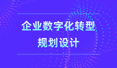 企業(yè)數(shù)字化轉(zhuǎn)型規(guī)劃設(shè)計(jì)